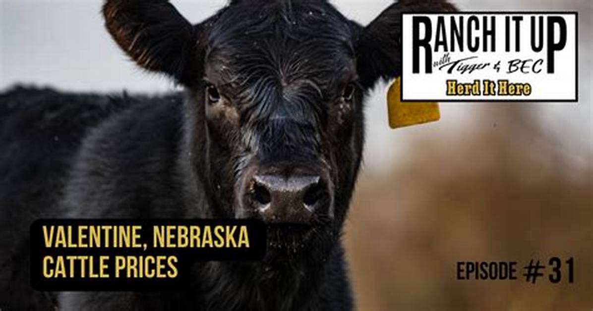 Will Cattle Prices Go up?