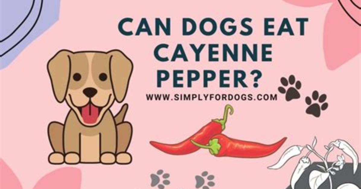 Will Cayenne Pepper Stop Dogs from Chewing