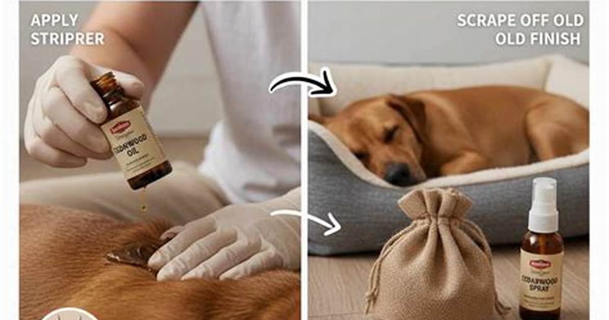Will Cedarwood Kill Fleas?