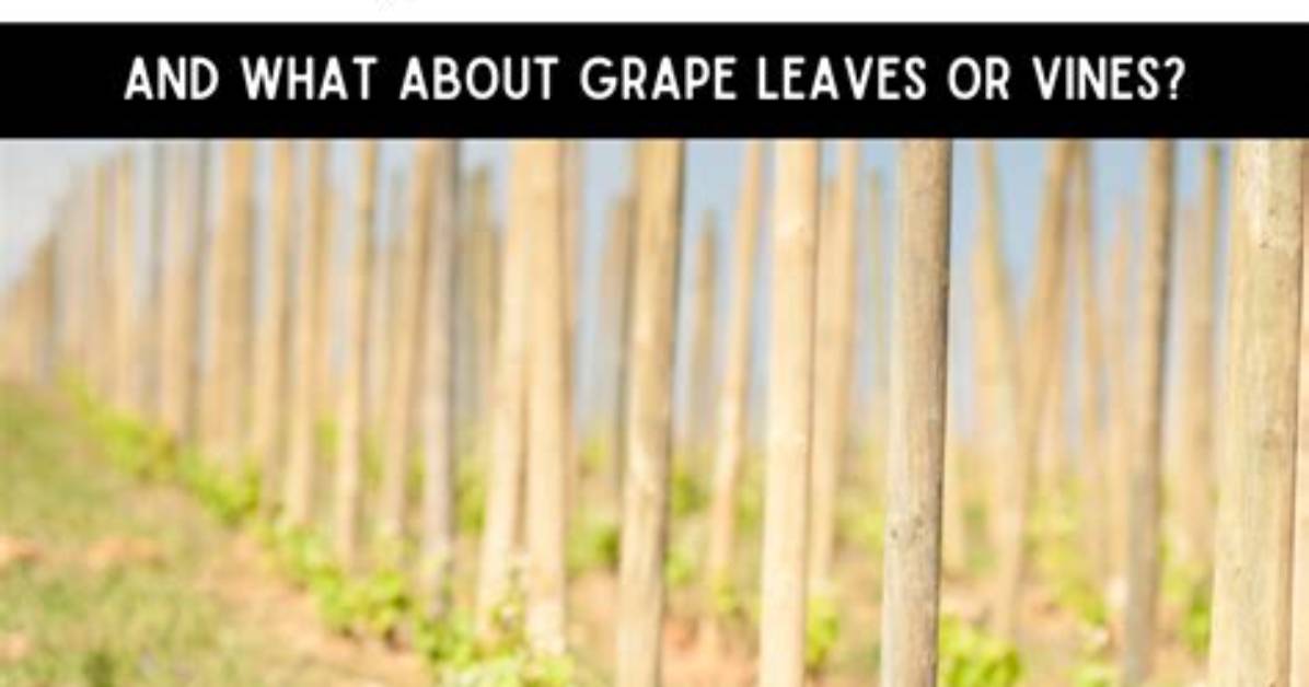 Will Chickens Eat Grape Nuts?