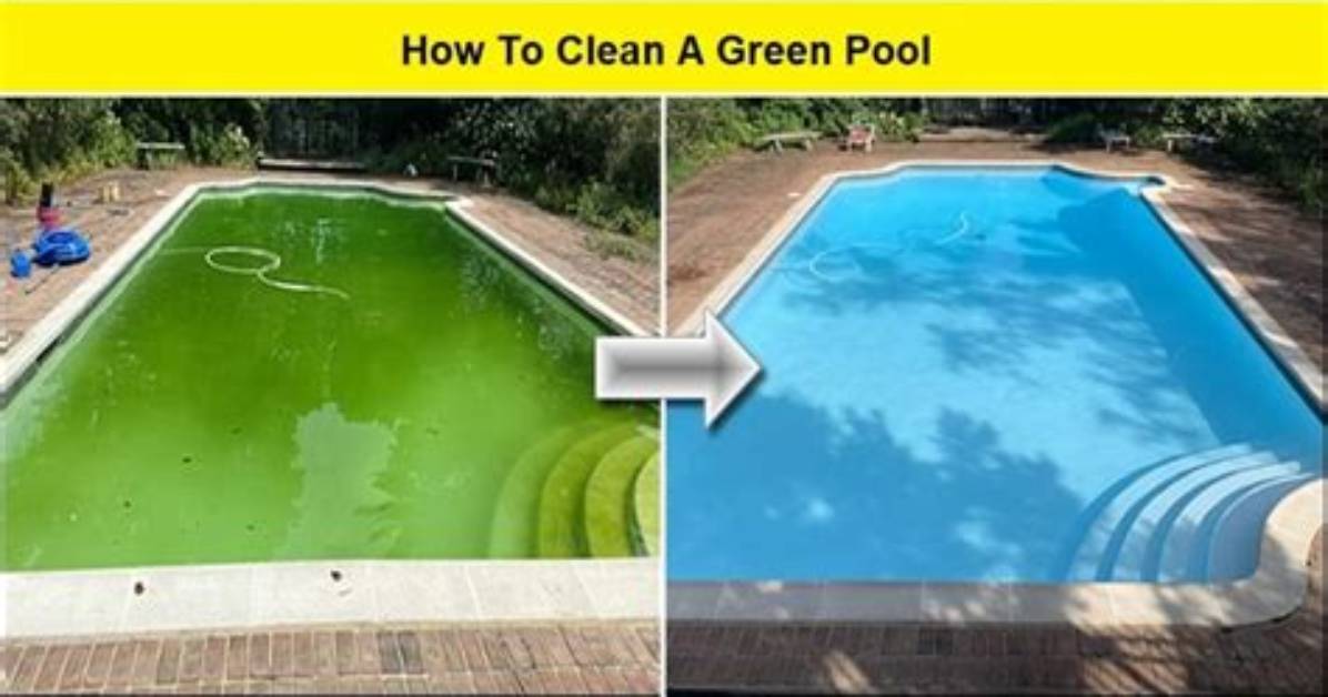 Will Clarifier Clear a Green Pool