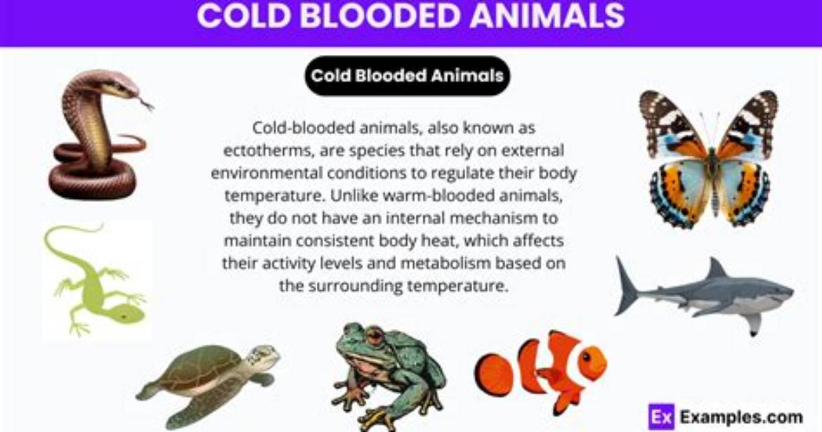 Will Cold Blooded Animals Die?