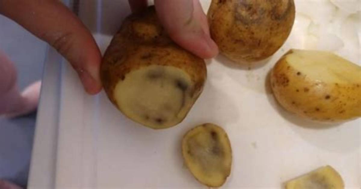 Will Cooked Potatoes Turn Brown?