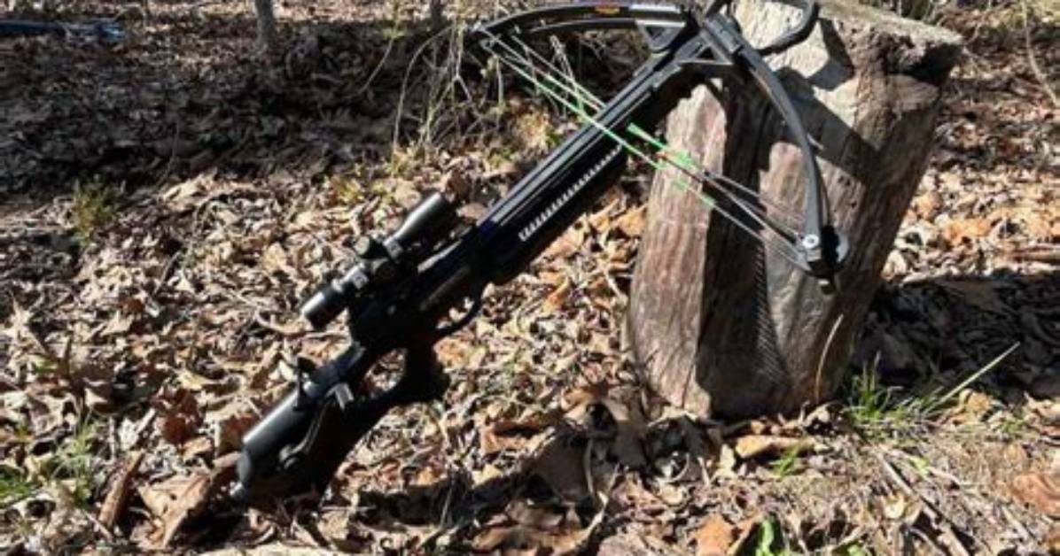 Will Crossbow Kill Trees?