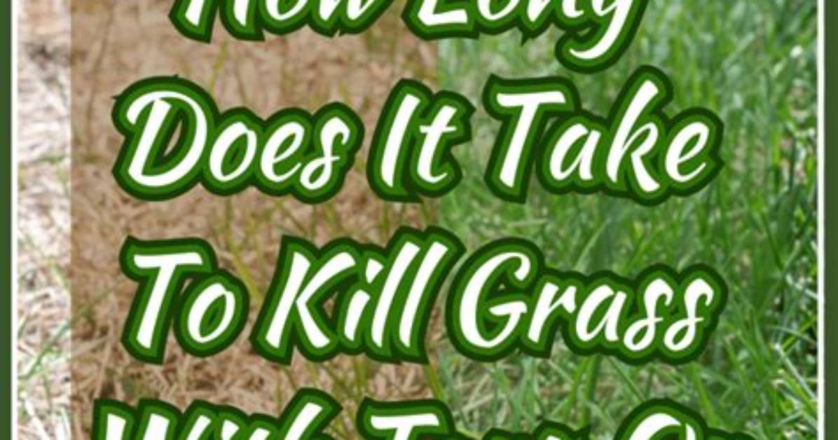 Will Crossroad Kill Grass?