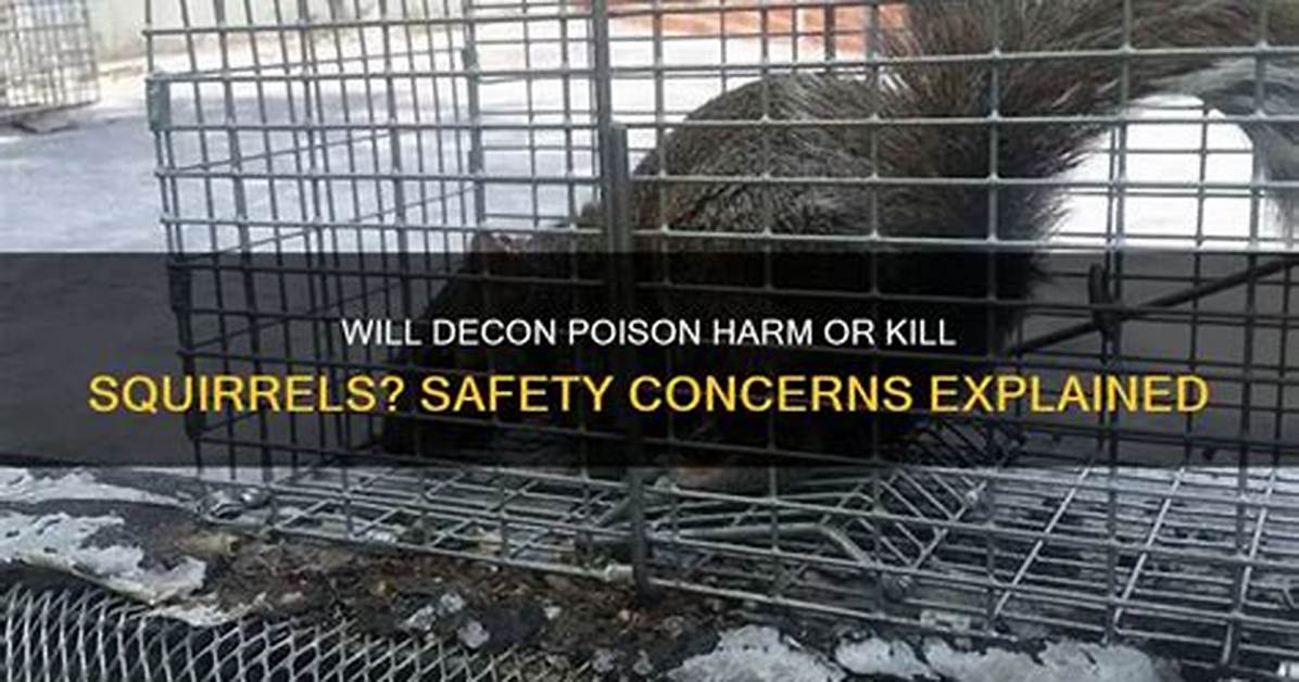 Will Decon Kill Chipmunks
