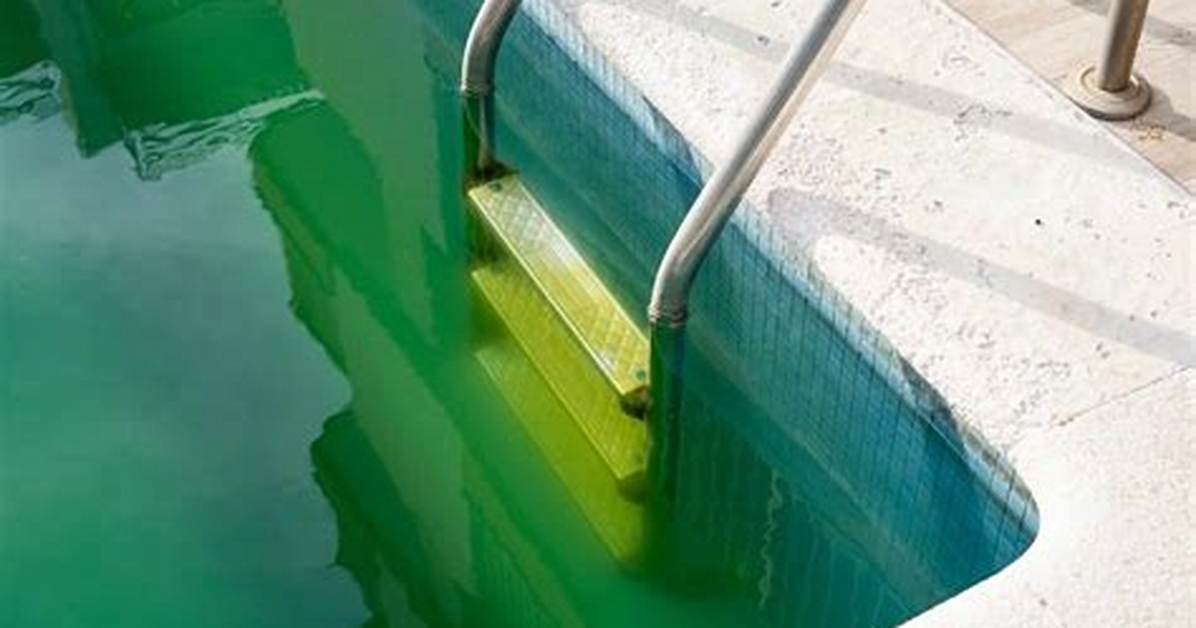 Will Draining a Pool Kill Algae?
