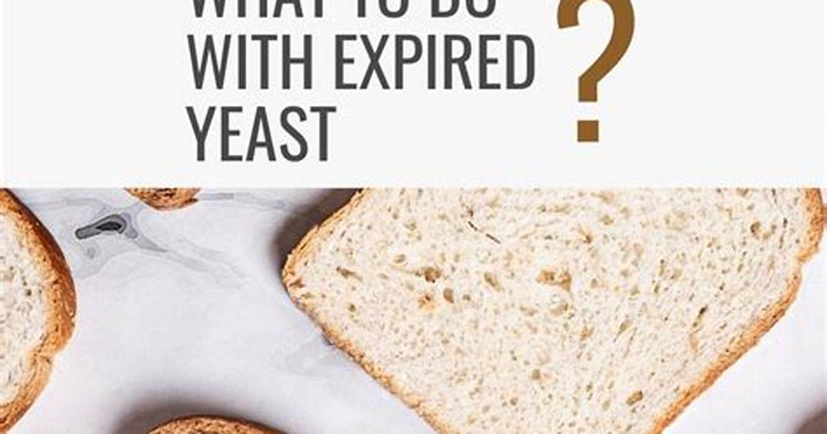 Will Expired Yeast Work?