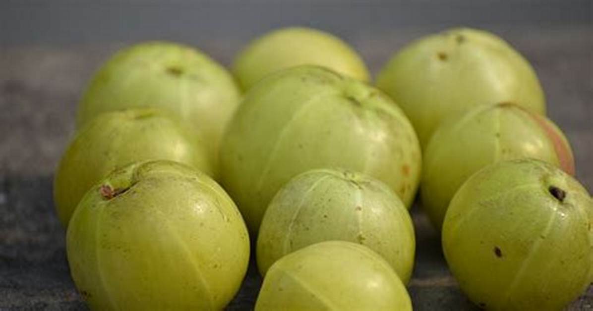 Will Gooseberry Cause Cold?