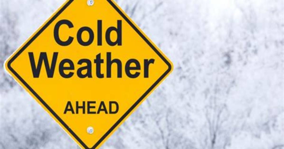 Will Herbicides Work in Cold Weather?