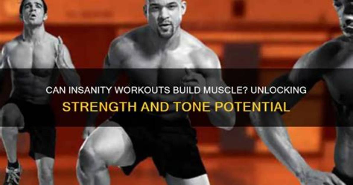 Will Insanity Build Muscle?