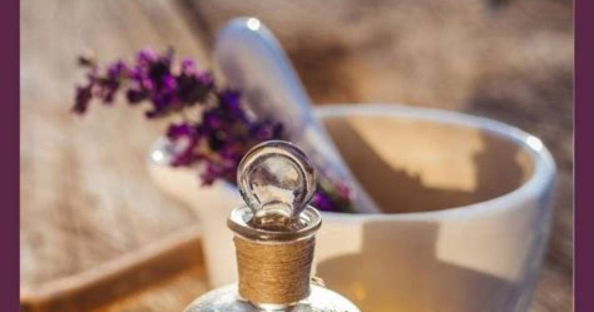 Will Lavender Kill Ants
