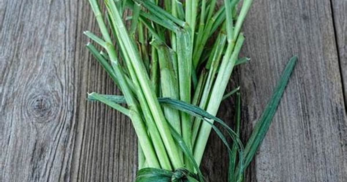 Will Lemongrass Come Back Every Year