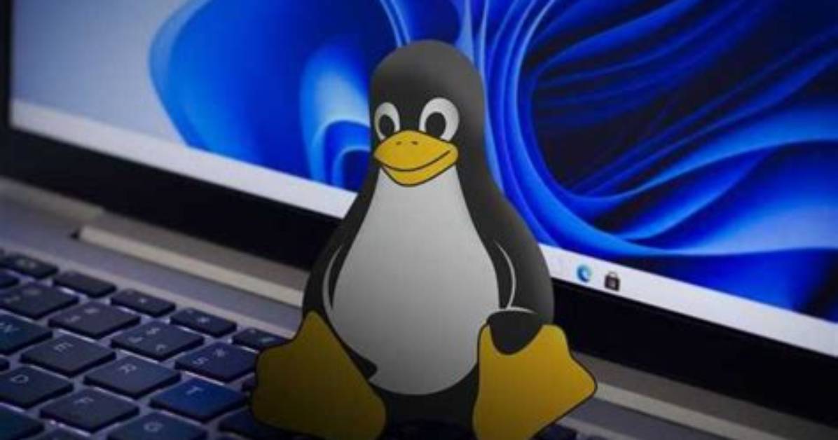 Will Linux Replace Windows?