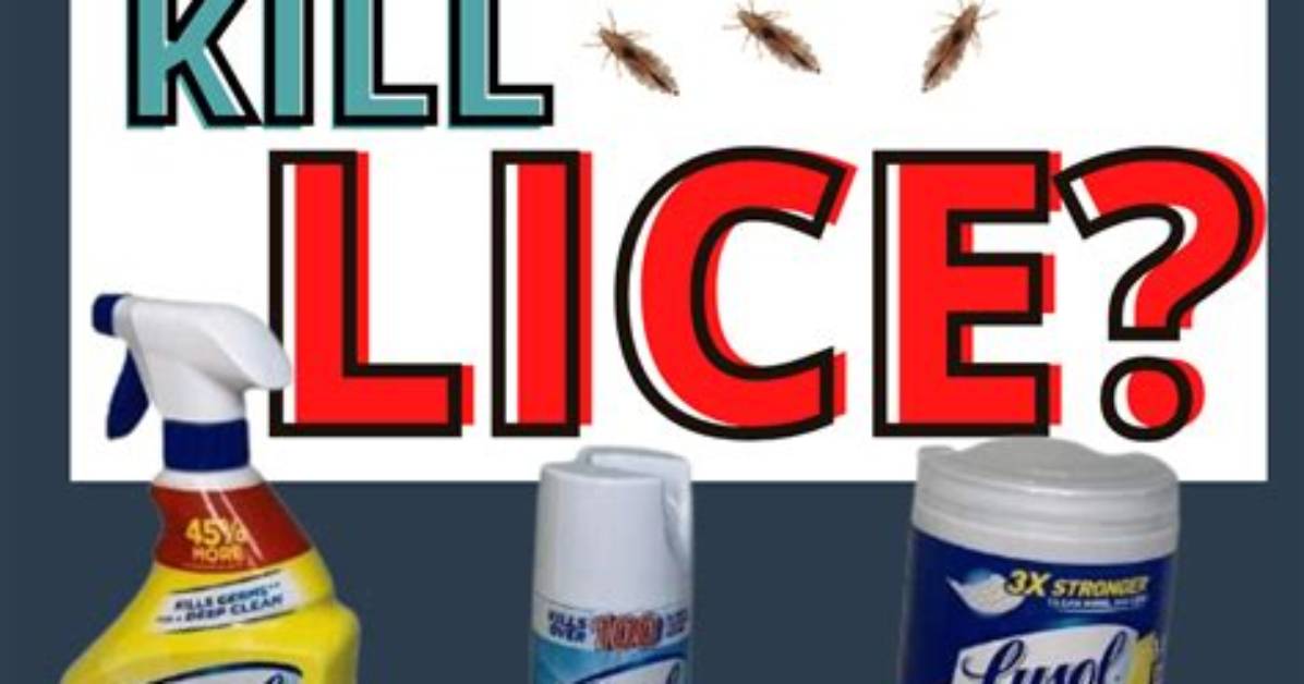 Will Lysol Kill Lice?