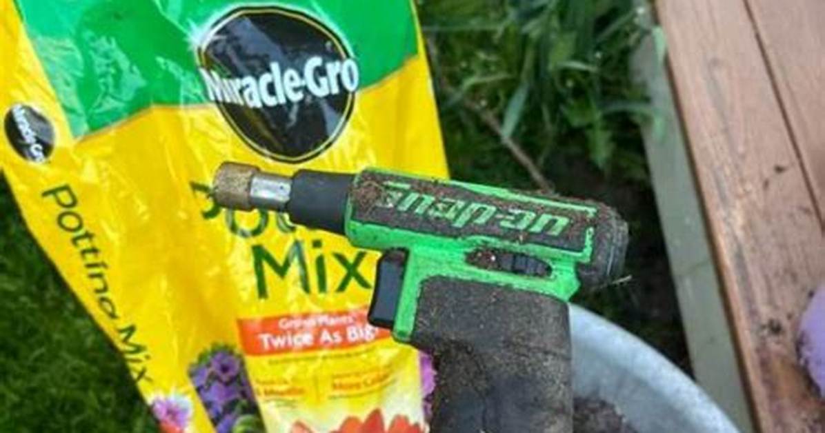 Will Miracle Gro Help Seedlings?