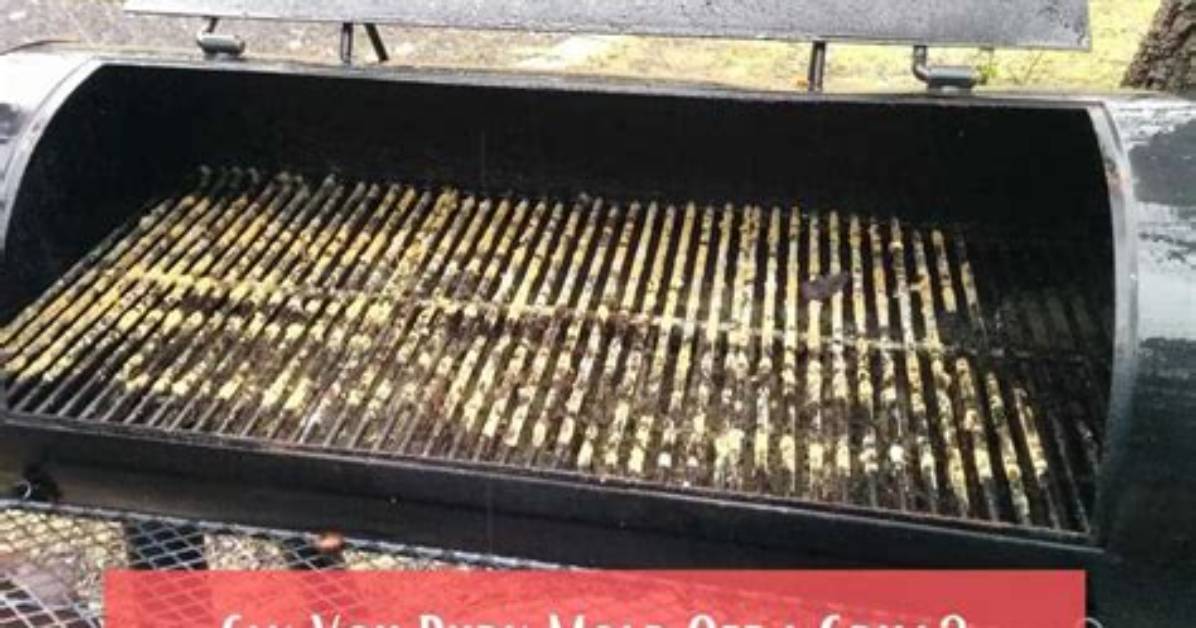 Will Mold Burn off Grill