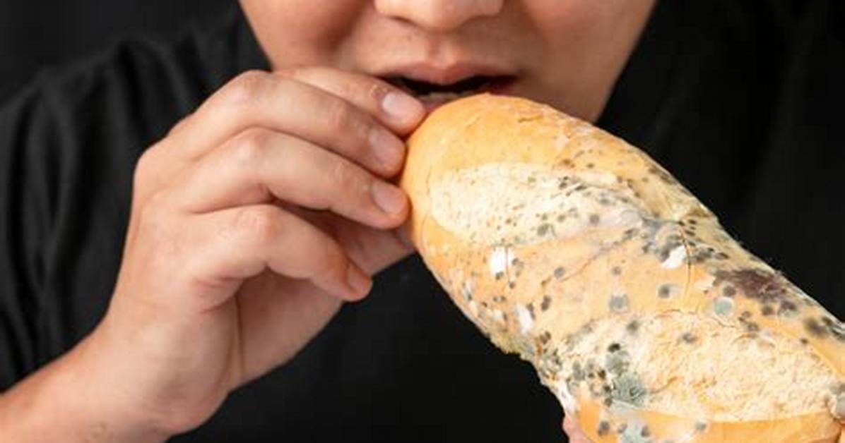Will Moldy Bread Make You Sick?