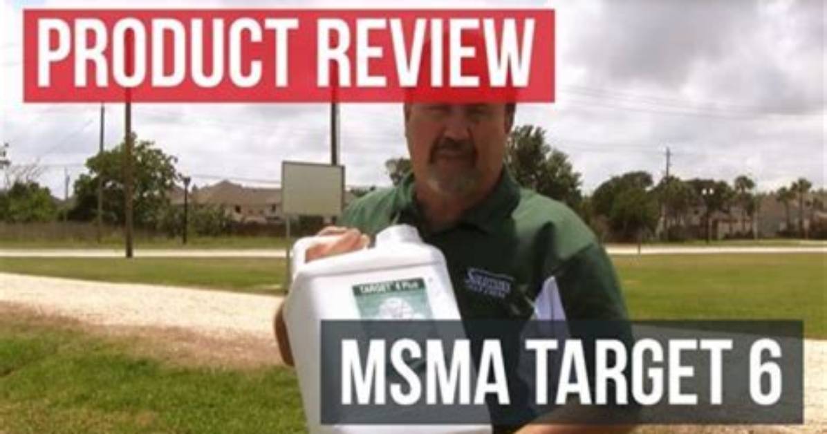 Will Msma Kill Grass Burrs