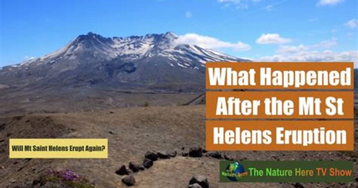 Will Mt St Helen Erupt Again?