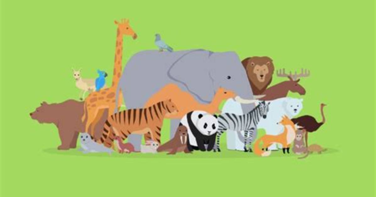 Will Other Animals Evolve Intelligence?