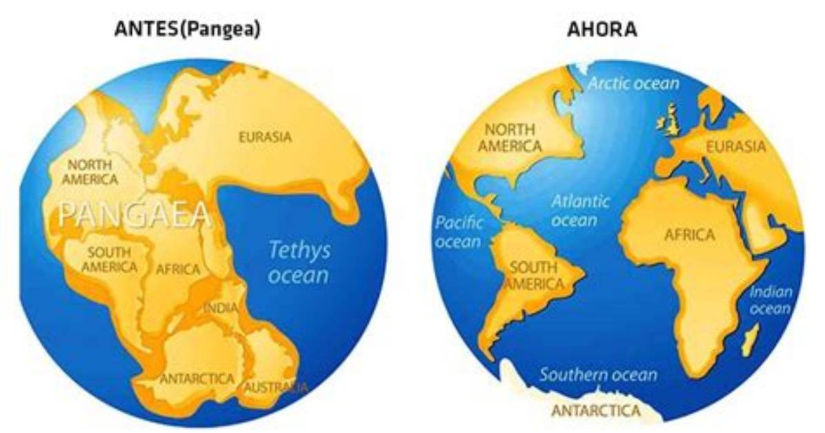 Will Pangea Ever Form Again?