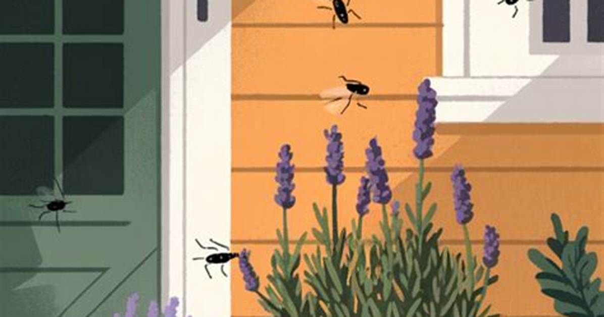 Will Patchouli Keep Bugs Away?