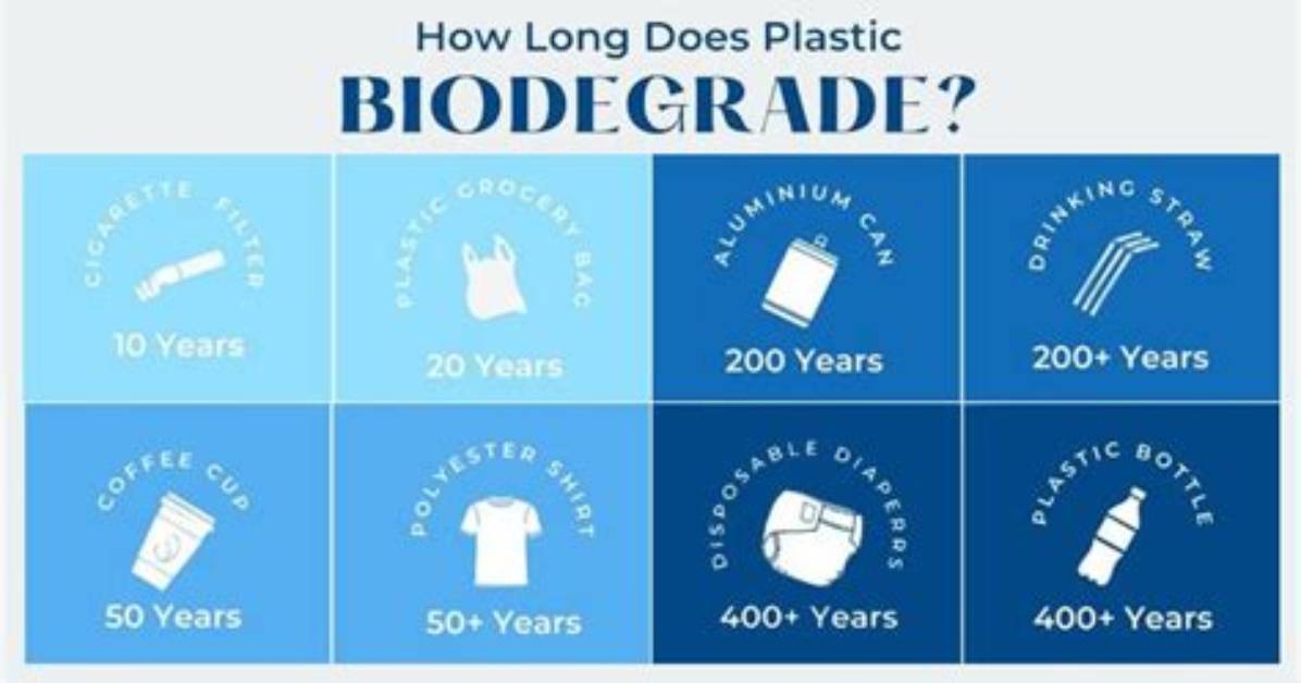 Will Plastic Ever Biodegrade?
