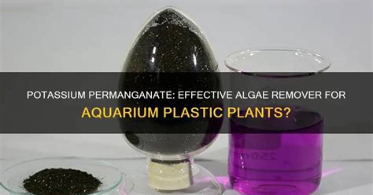 Will Potassium Permanganate Kill Plants?