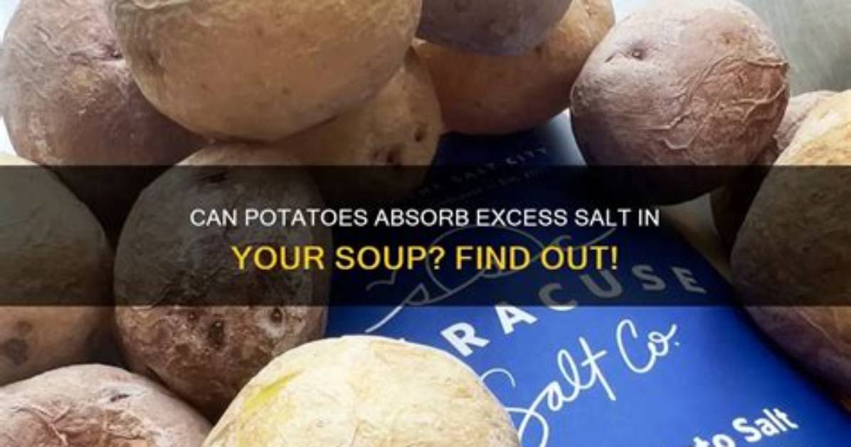 Will Potato Absorb Spice?