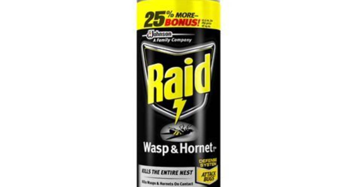 Will Raid Kill Wasps