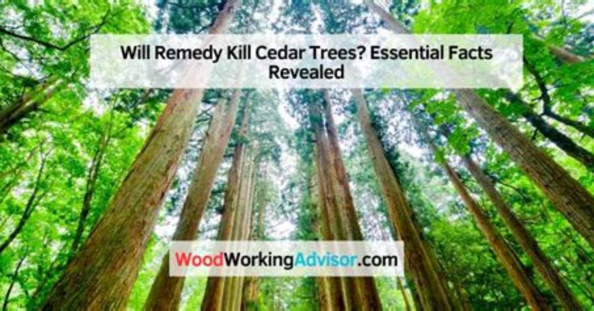 Will Remedy Kill Trees