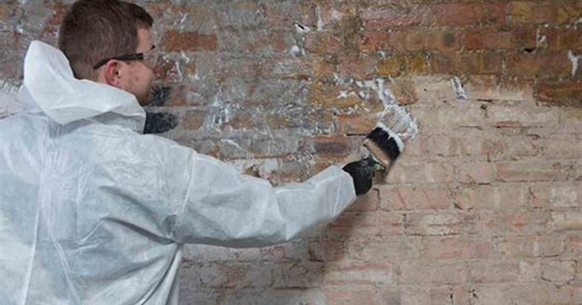Will Replastering Cure Damp?