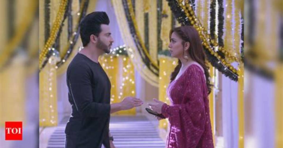 Will Rishabh Marry Sherlyn?