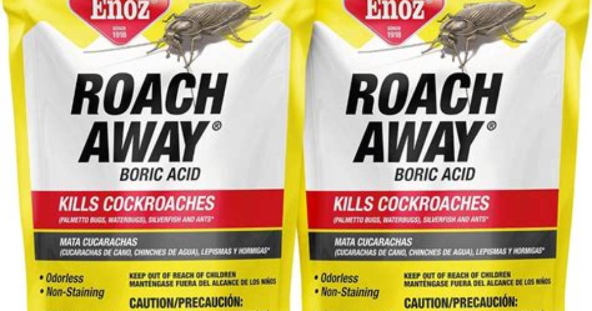 Will Roach Smell Go Away?