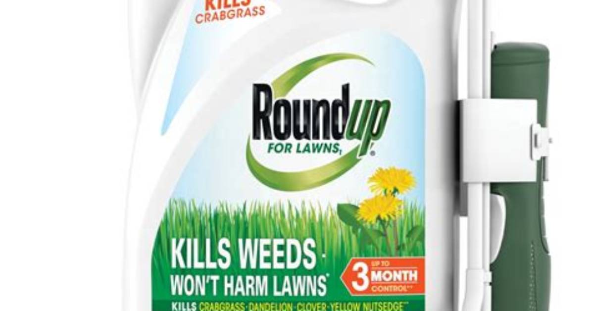 Will Roundup Kill Bullrushes?