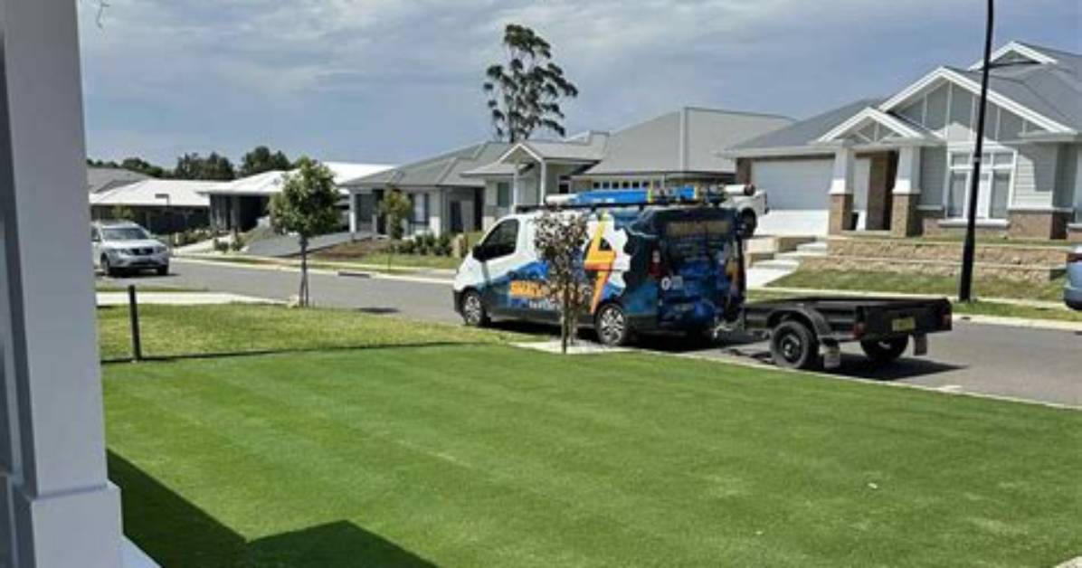 Will Scalped Bermuda Grow Back