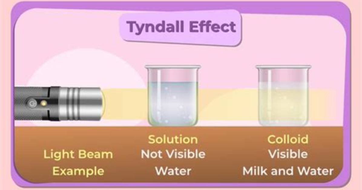 Will Show Tyndall Effect?