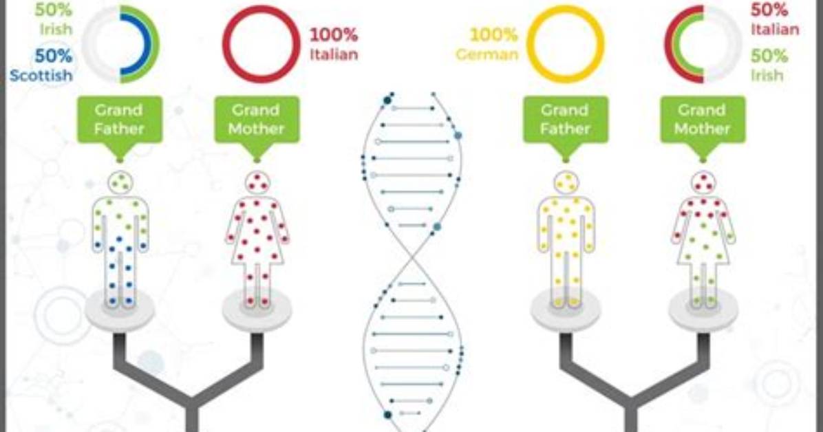 Will Siblings Have the Same Dna?