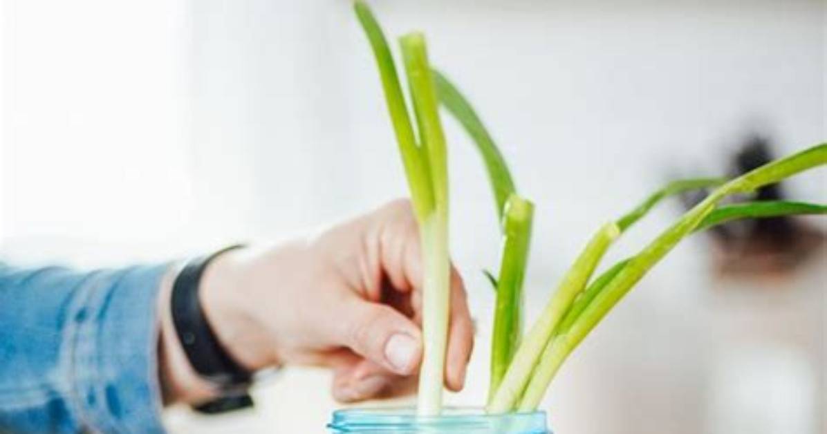 Will Slimy Vegetables Make You Sick?