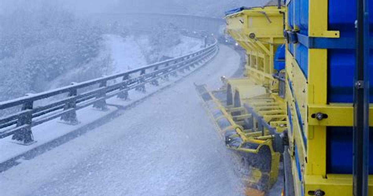 Will Snow Kill Annuals?