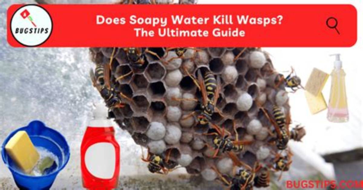 Will Soapy Water Kill Slugs