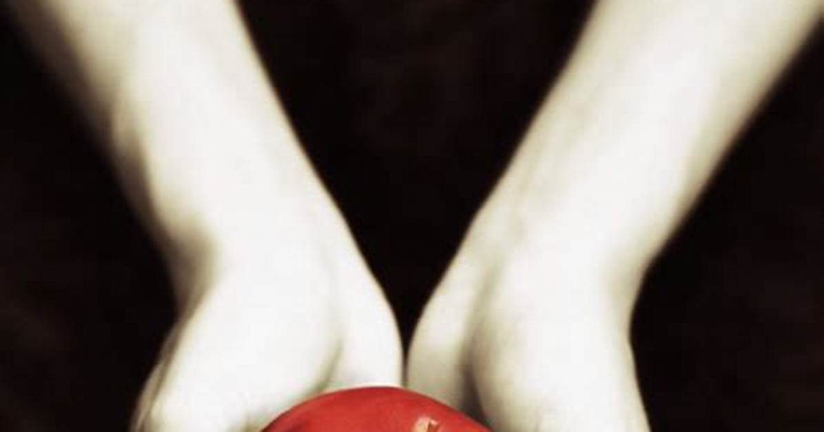 Will Stephenie Meyer Write More Twilight Books?