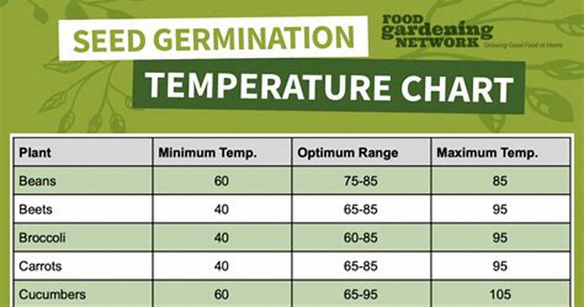 Will Temperature Affect Seed Germination?