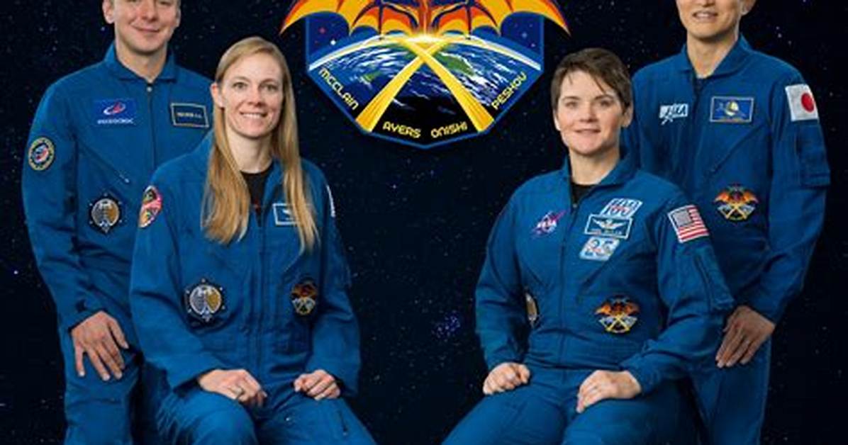 Will There Be a Crew 3?