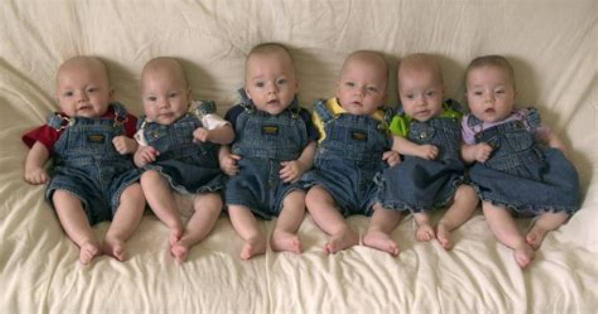 Will There Be a Sextuplets 2?