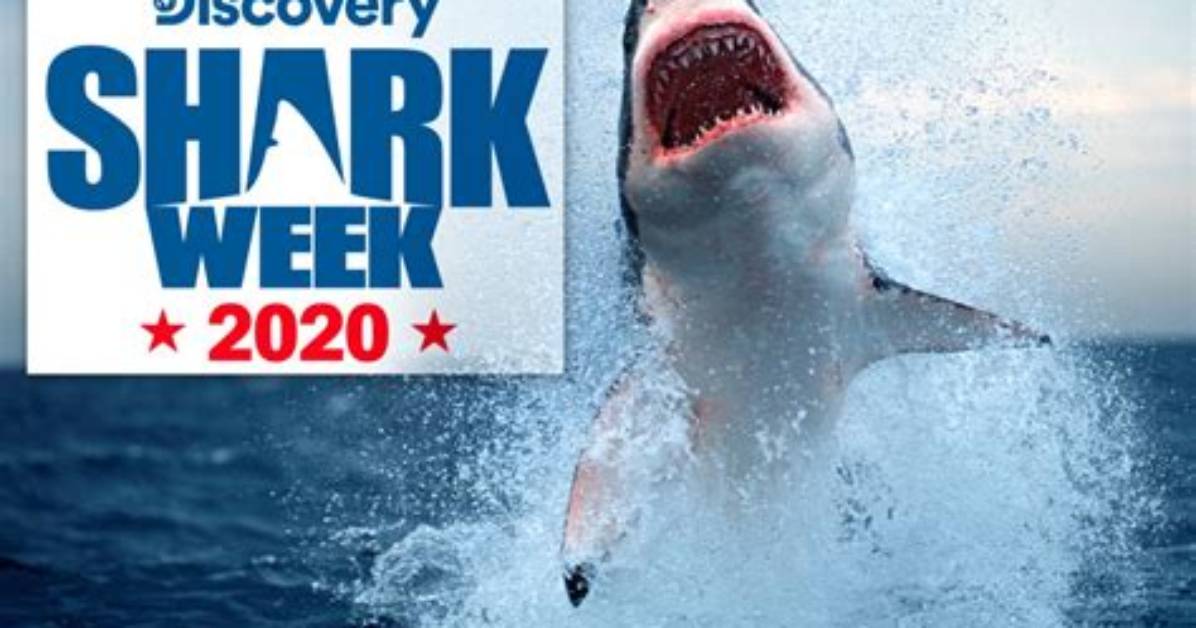 Will There Be a Shark Week 2020?