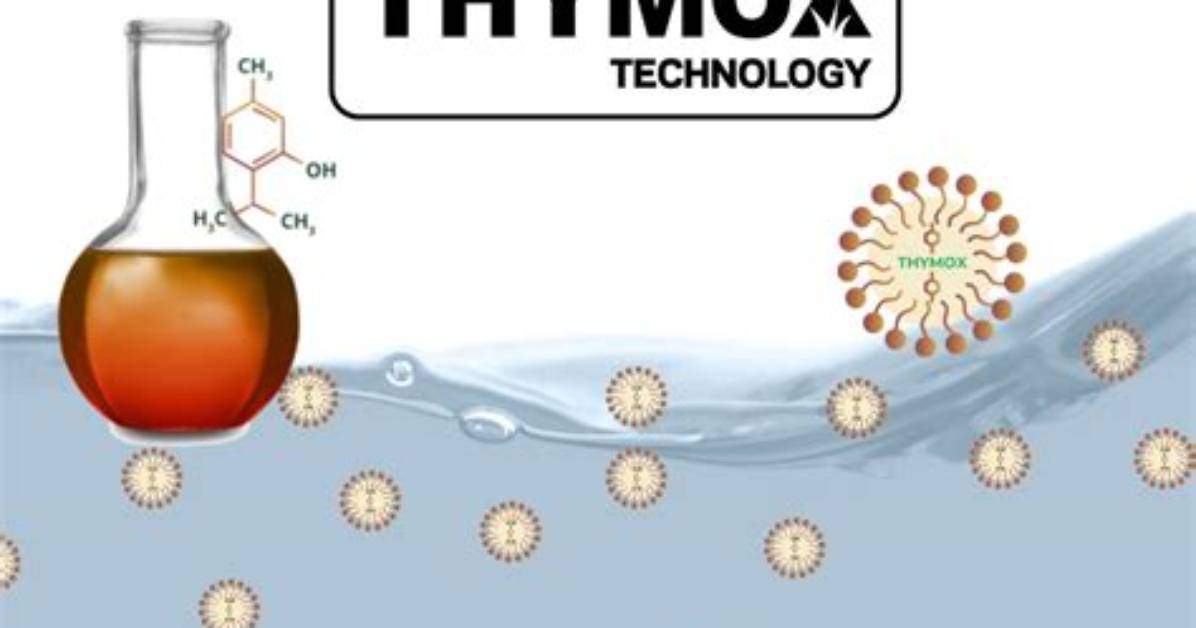 Will Thymol Kill Mold?