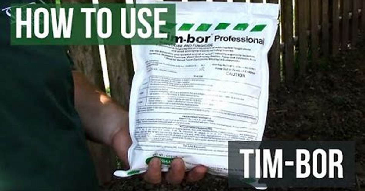 Will Timbor Kill Fungus
