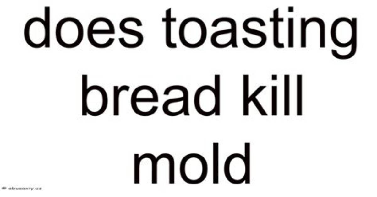 Will Toasting Bread Kill Mold?